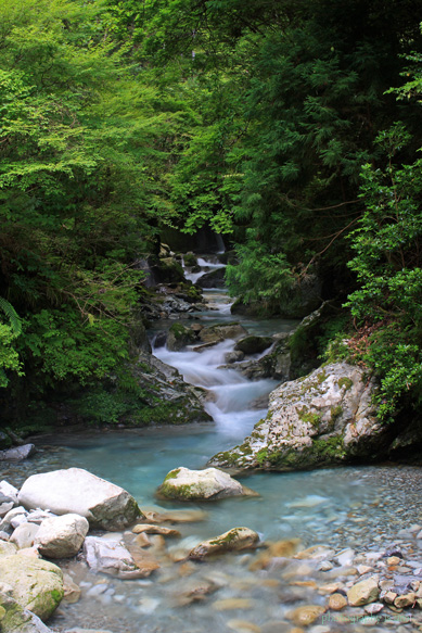 e0083238_225546.jpg