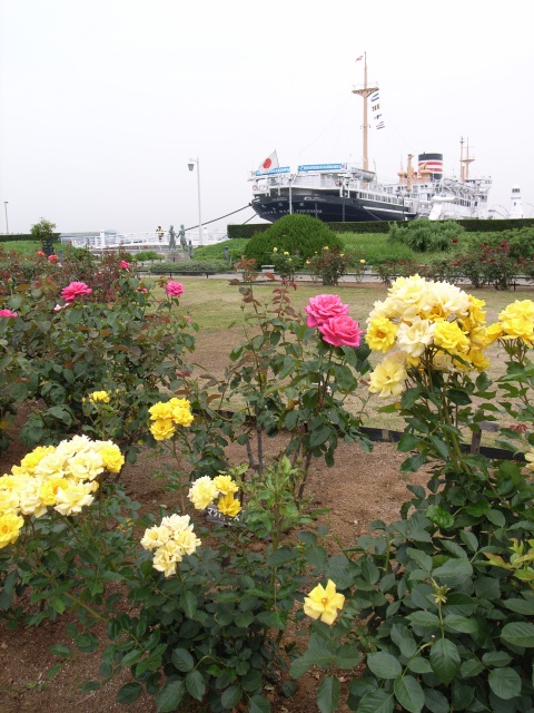 a0087341_2158539.jpg