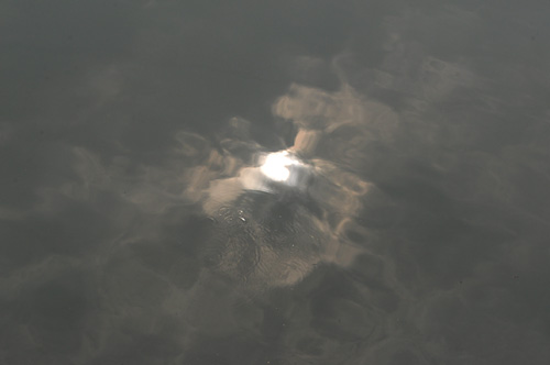 d0093043_1356479.jpg