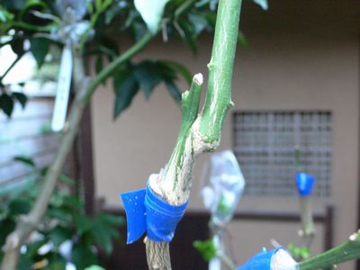 d0022845_19361264.jpg