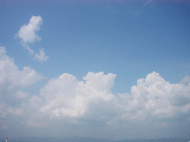 c0225153_12404196.gif
