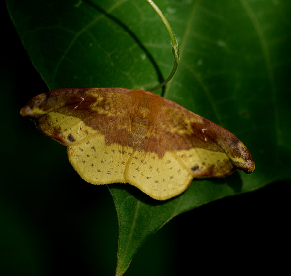 d0091754_23552538.jpg