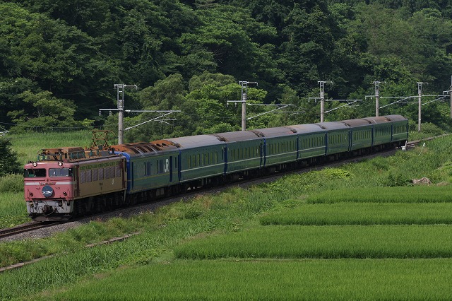 b0002858_1514098.jpg