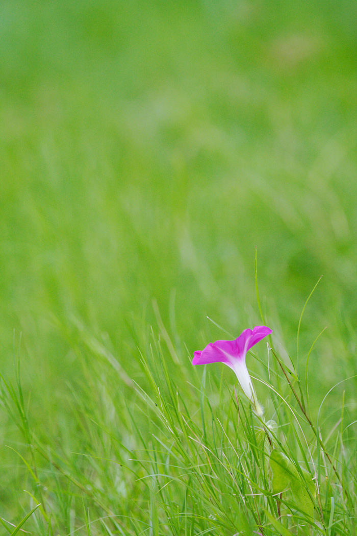 d0148060_2131859.jpg
