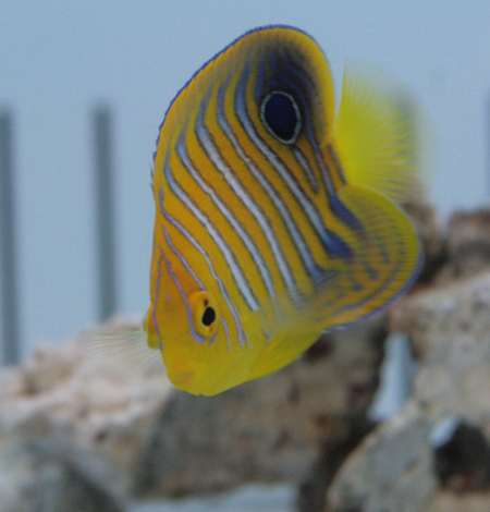 a0162261_2053668.jpg