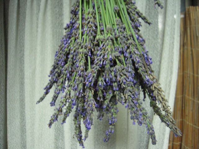 c0092263_2132151.jpg