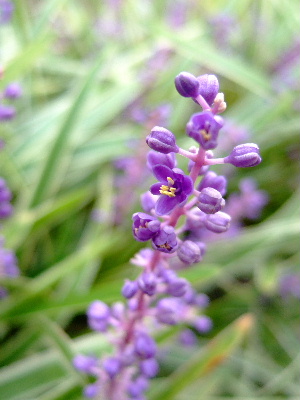 d0102664_072036.jpg