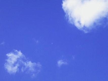 f0199565_2333554.jpg