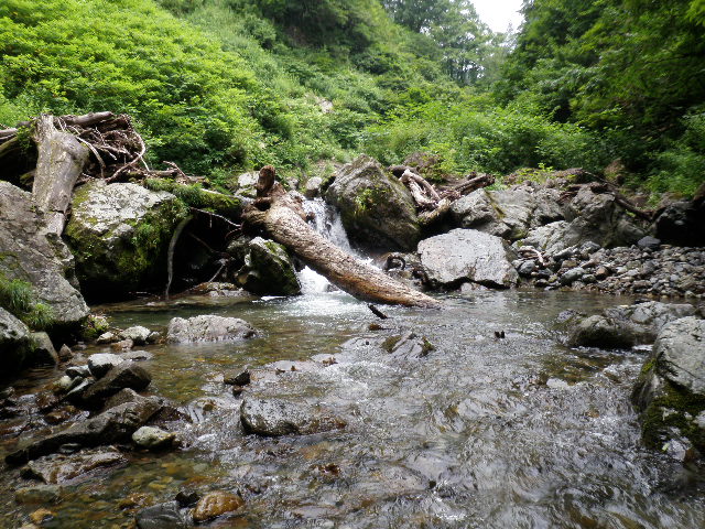 b0120066_15594853.jpg