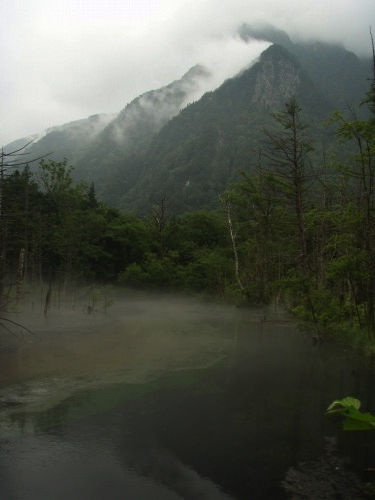 b0050067_0131430.jpg