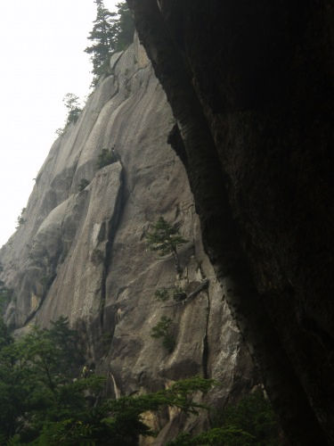 b0050067_23182012.jpg