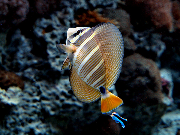 f0052269_22593668.jpg