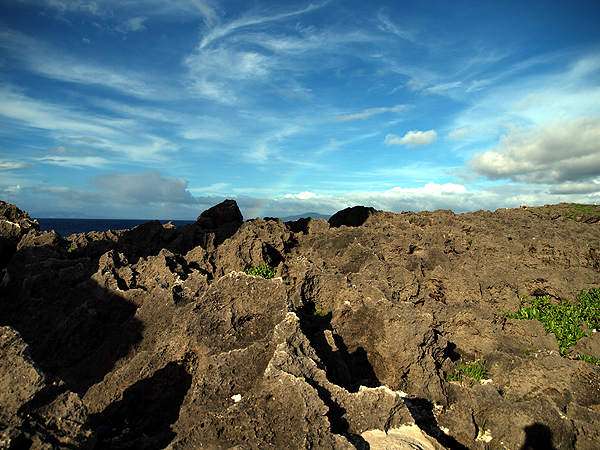 f0052269_2313632.jpg