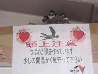 c0127670_22585629.jpg