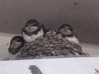 c0127670_2259494.jpg