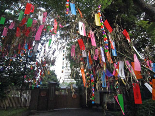 c0127670_23455172.jpg