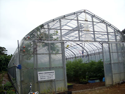 e0097770_2331543.jpg