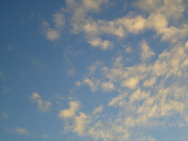 d0109373_20423864.jpg