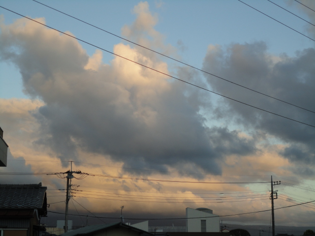 d0109373_20493298.jpg