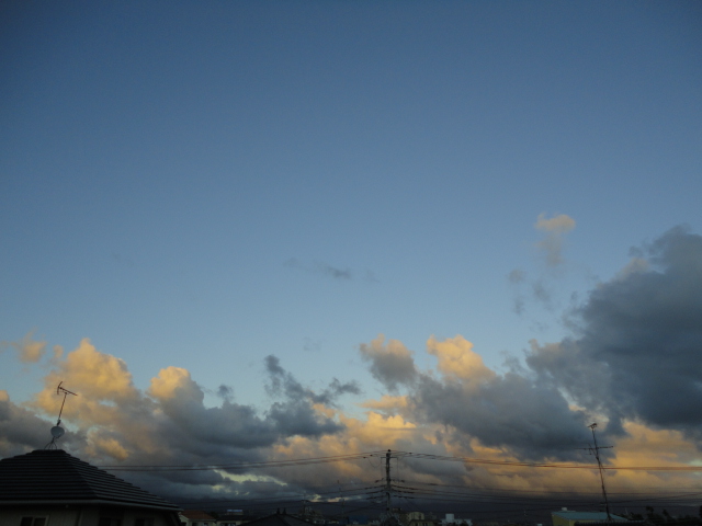 d0109373_2051154.jpg