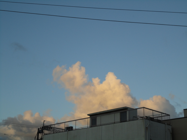 d0109373_2136298.jpg