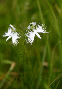 f0181173_1048065.jpg