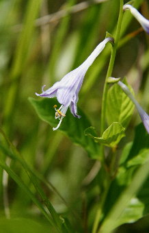 f0181173_1135942.jpg