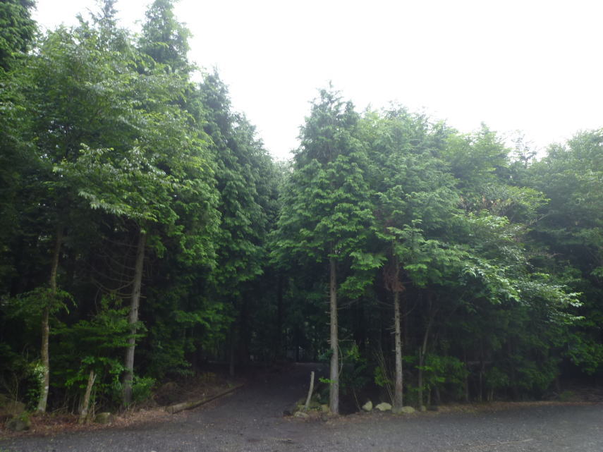 e0165577_14385125.jpg