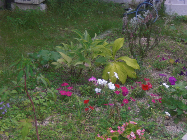 c0228378_713418.jpg