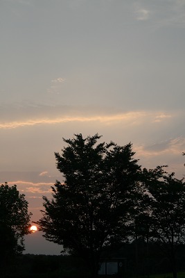a0165483_1445231.jpg