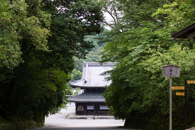 b0080789_21105086.jpg