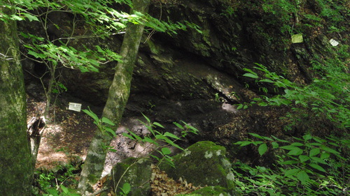 d0034291_1462485.jpg