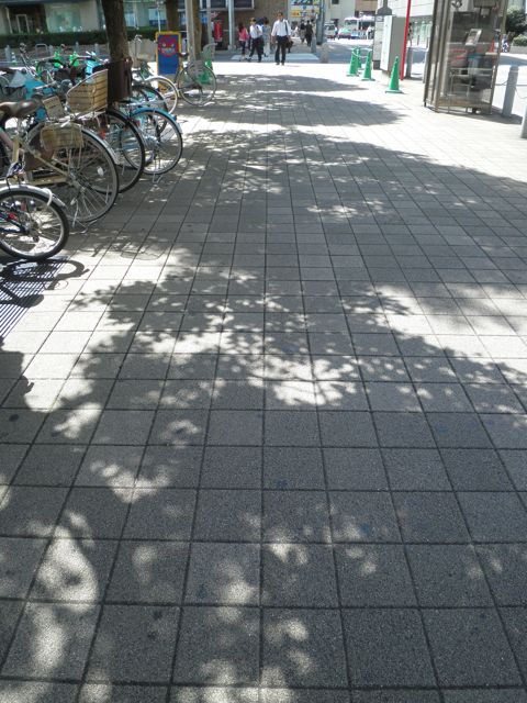 f0130894_21501657.jpg