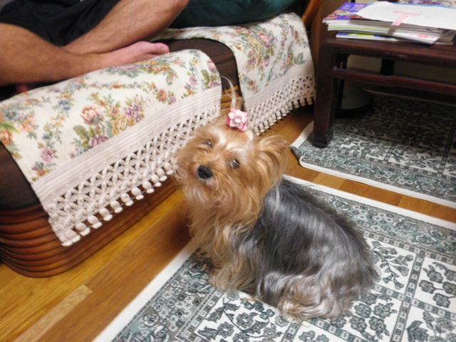 f0130894_2153340.jpg