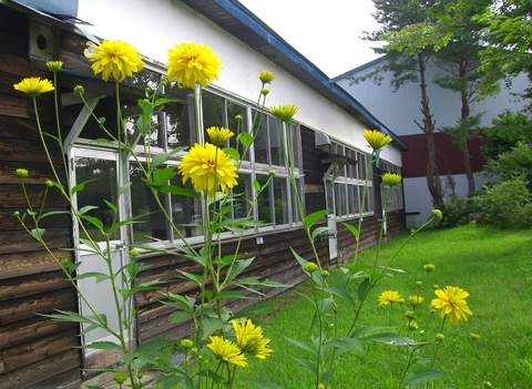 a0138198_13505013.jpg