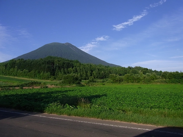 f0157901_21253864.jpg