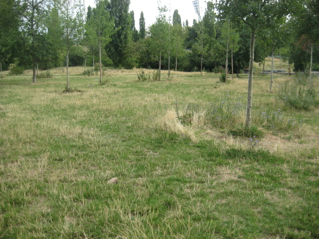 b0178006_1753321.jpg