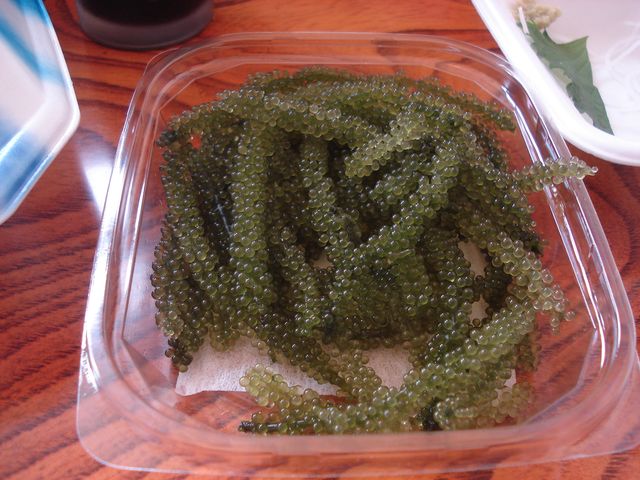 f0084806_657693.jpg