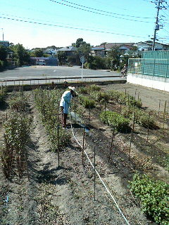 f0127408_23181238.jpg
