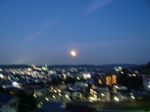 f0221708_1461690.jpg