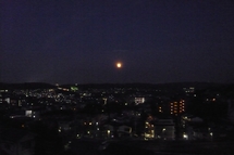 f0221708_1463639.jpg