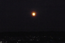 f0221708_146545.jpg