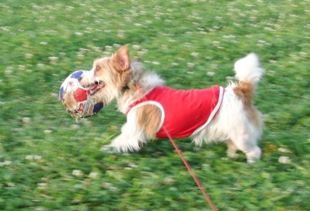 e0078510_23344437.jpg