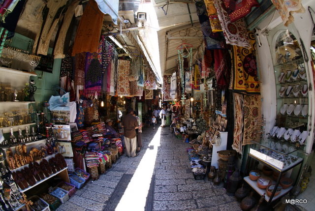 c0037611_22153025.jpg