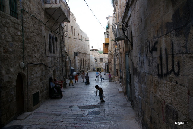 c0037611_22531617.jpg