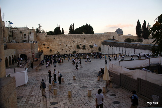 c0037611_22552371.jpg