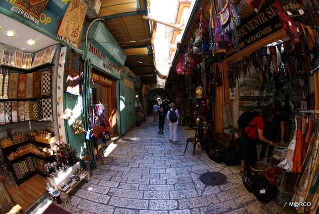 c0037611_2262086.jpg