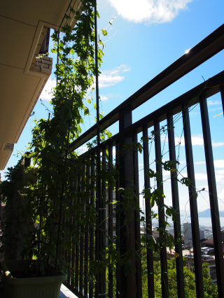 c0175715_1404666.jpg