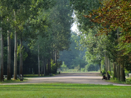 f0200015_19125085.jpg