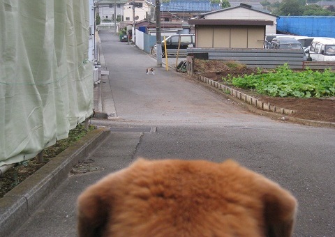 c0084117_15573220.jpg
